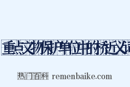 重点文物保护单位中的桥近义词是什么意思的图片